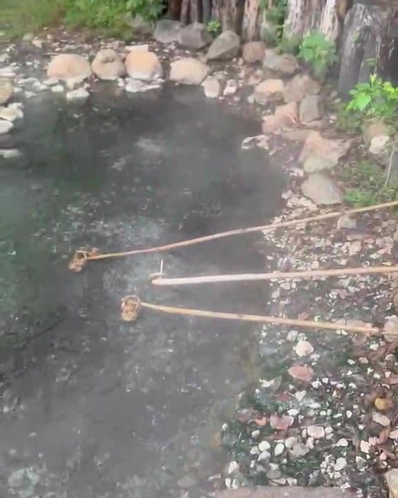 Steam rising off a hot spring pool, eggs cooking on bamboo poles